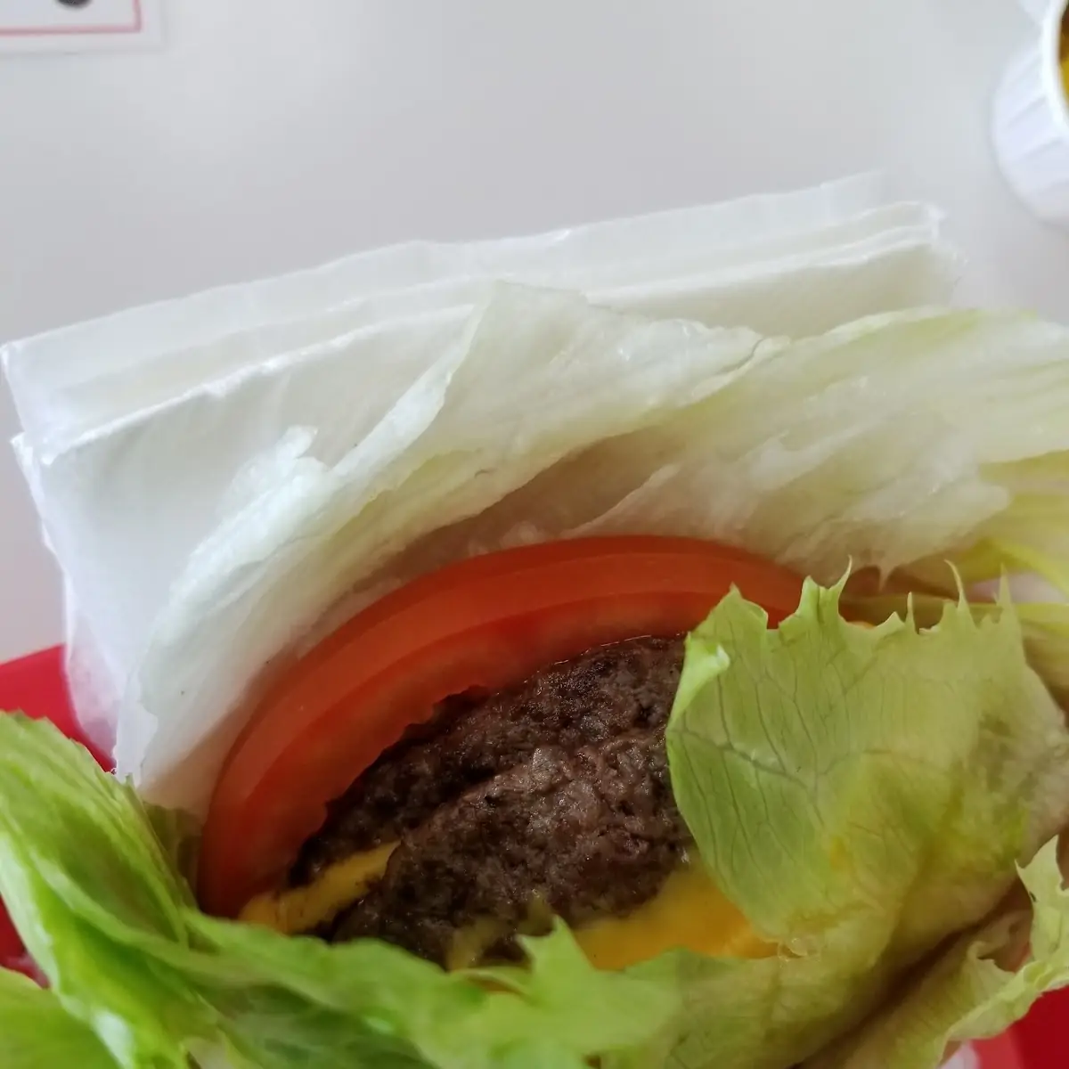 Protein Cheese Burger