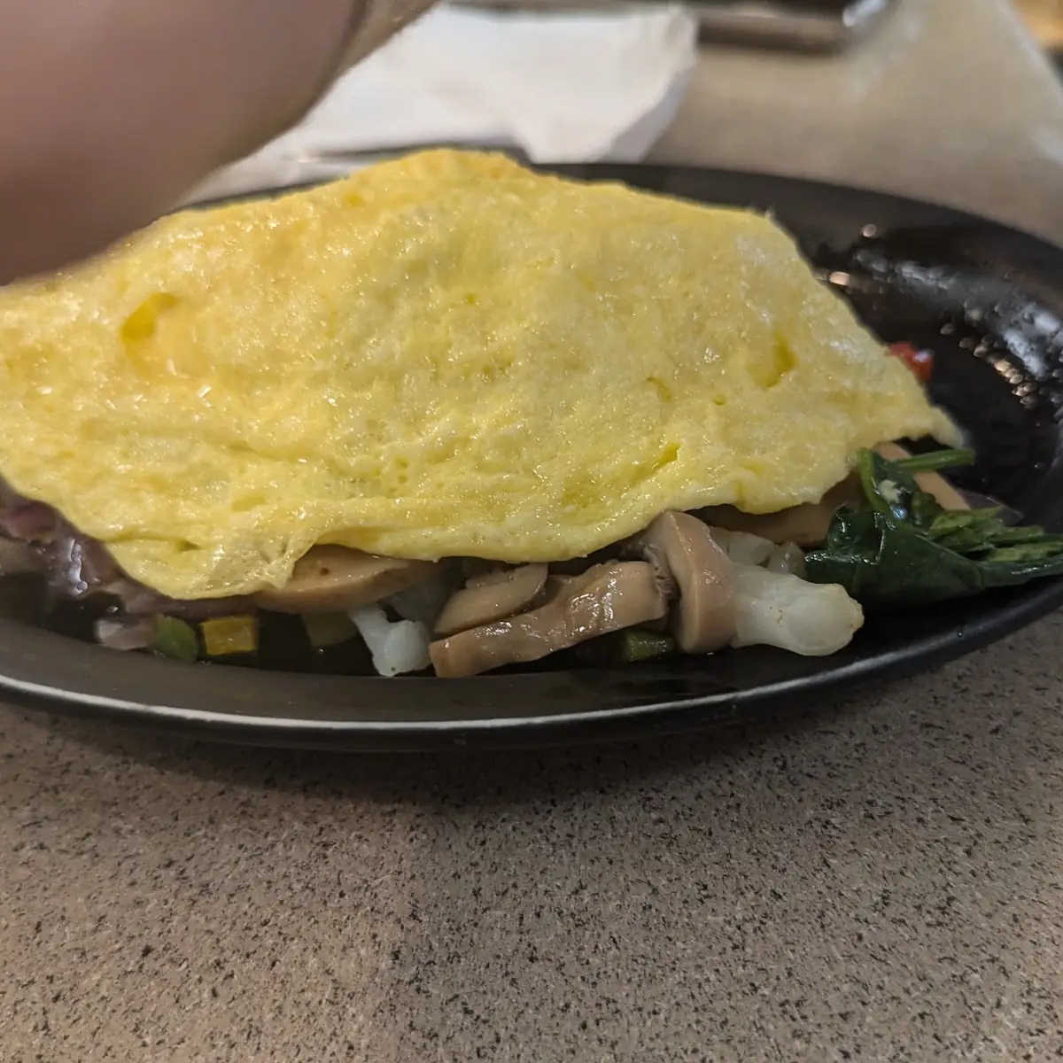 Veggie Omelette