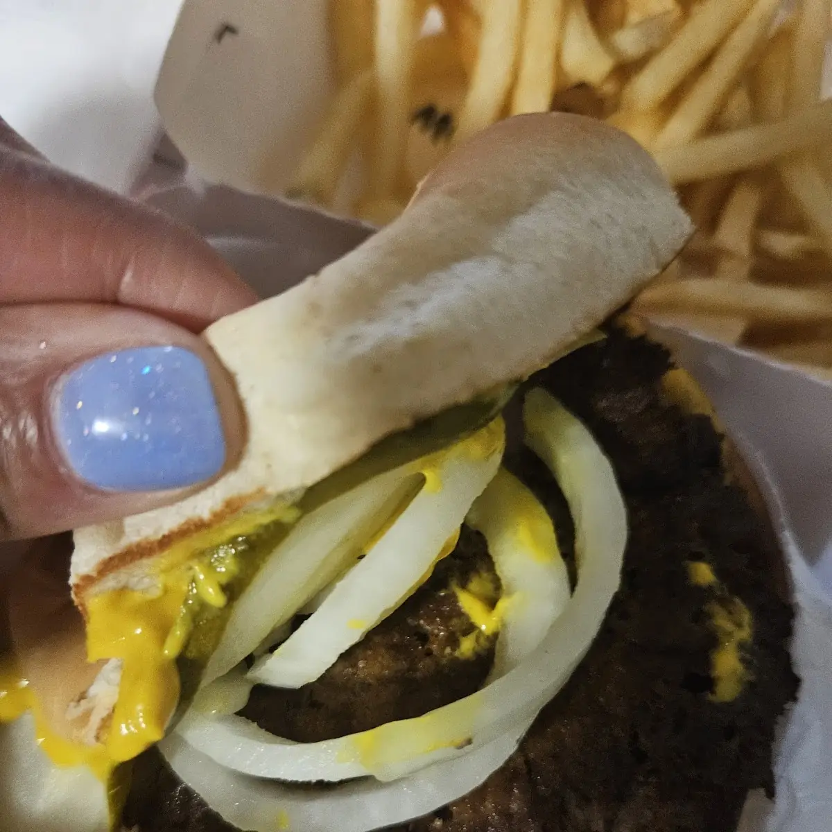 Double Cheese Burger with Fries