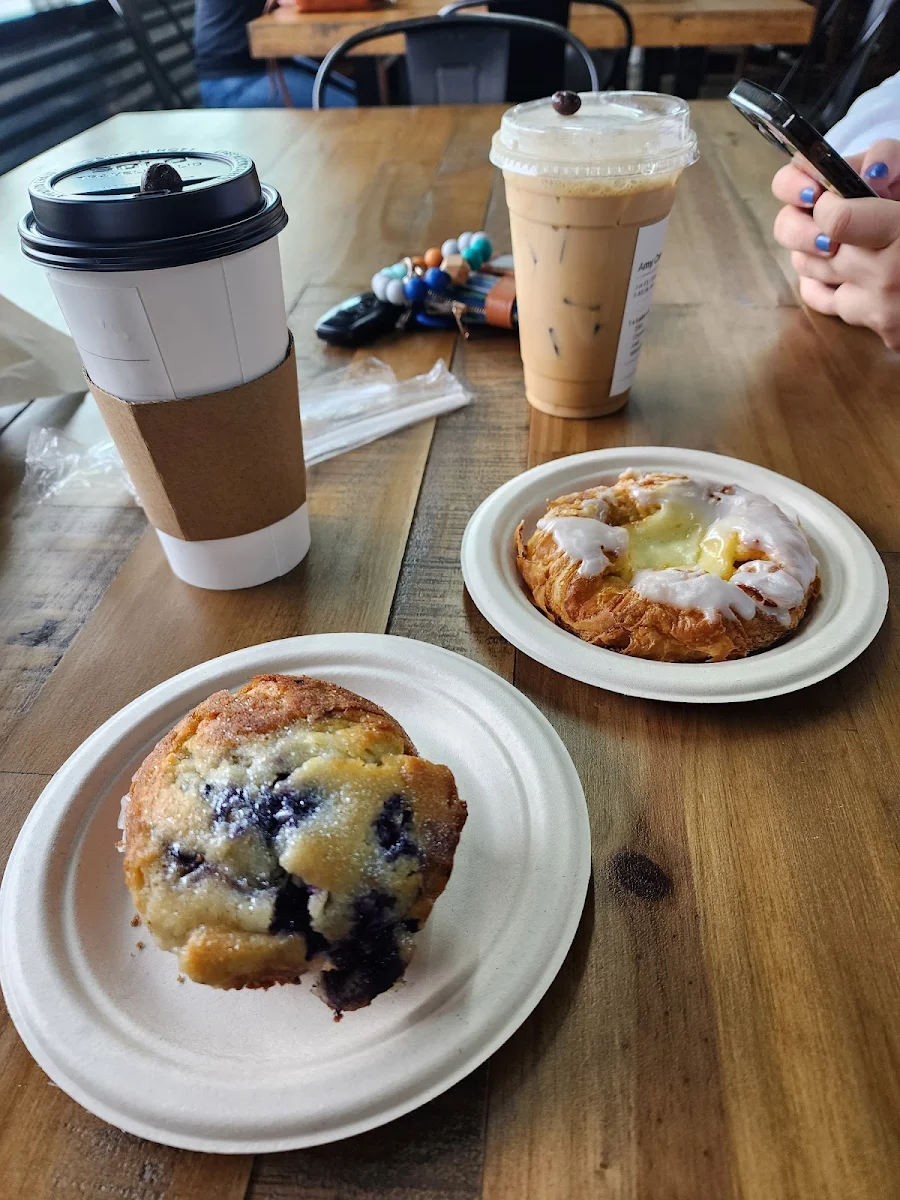 Blueberry Muffin
