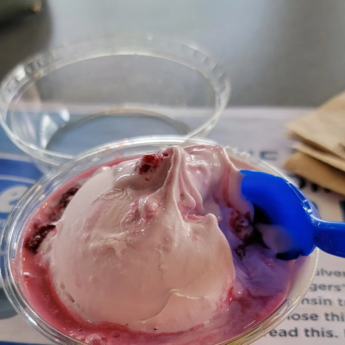 Raspberry Sundae
