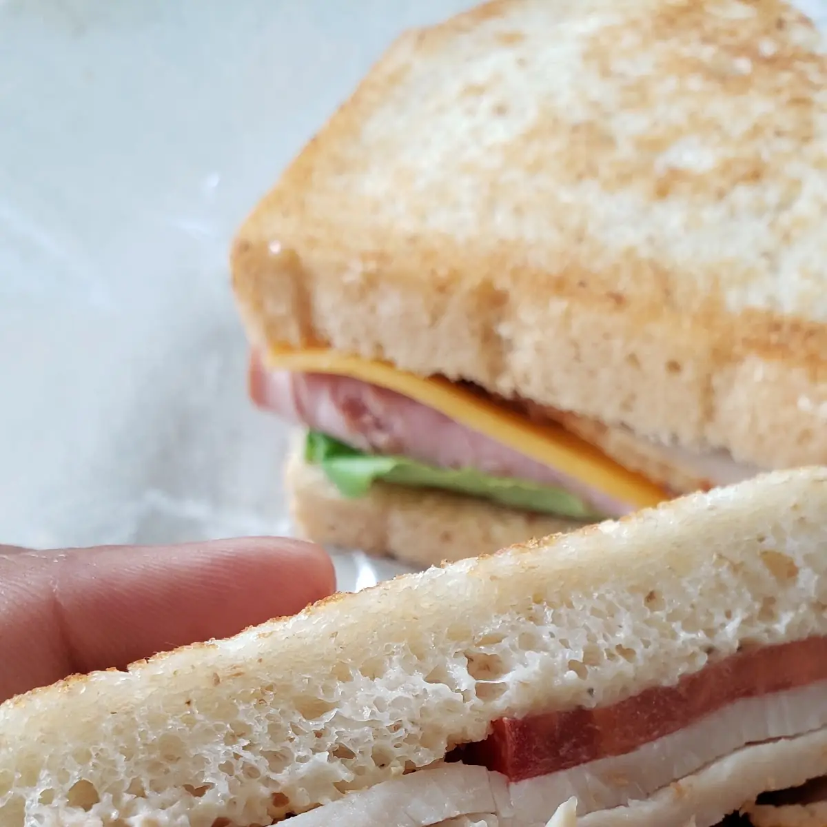 Turkey Sandwich