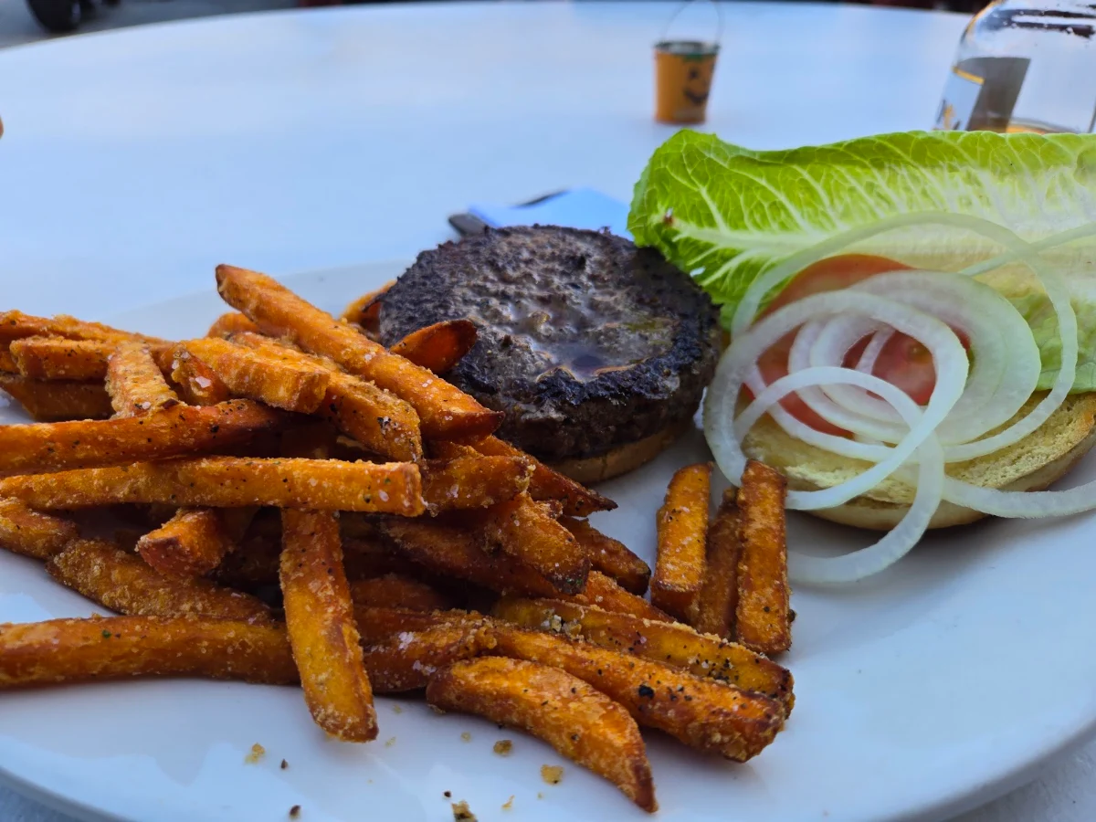 Bison Burger and Fries
