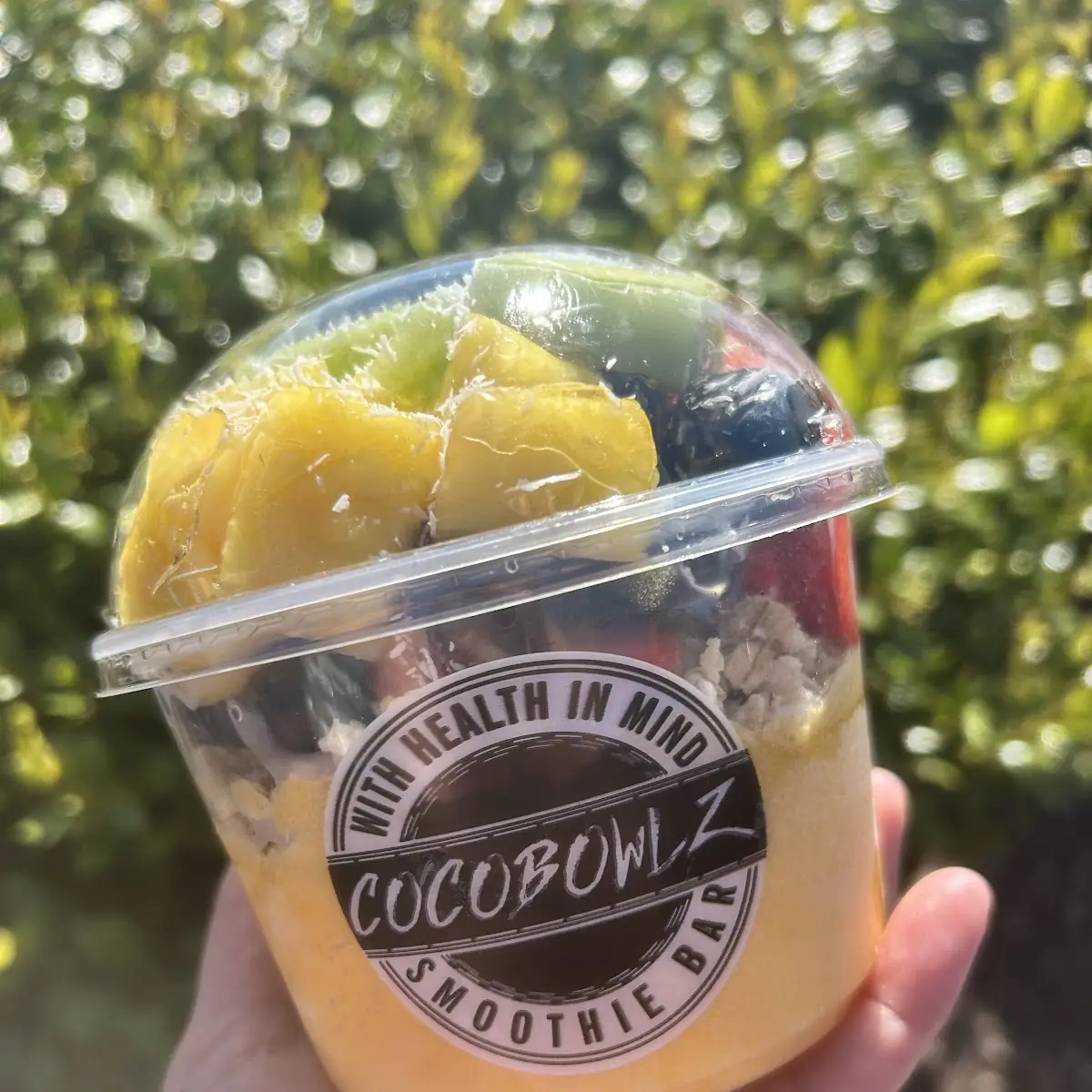 Mango Pineapple Fruitful Bowl