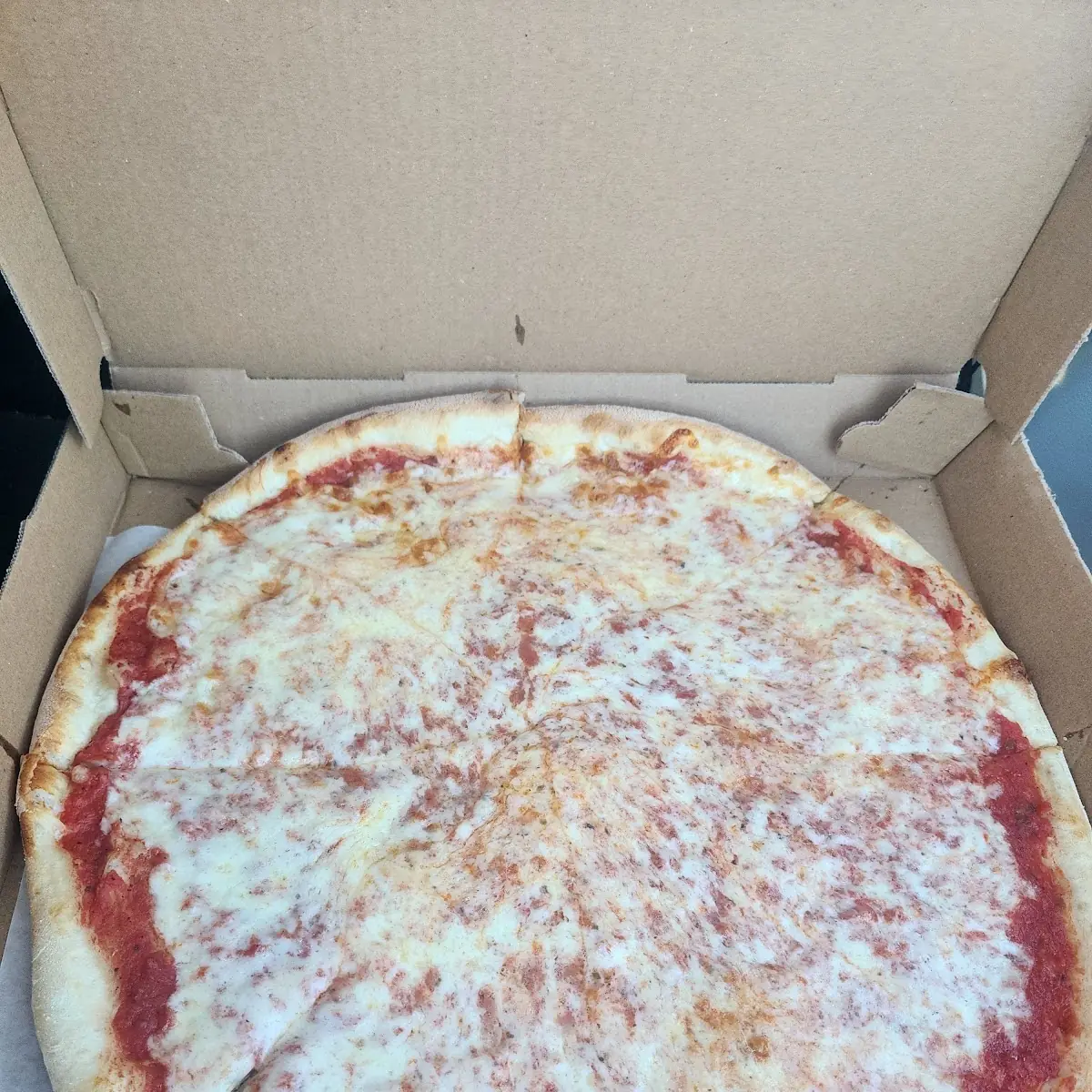 Plain Cheese Pizza