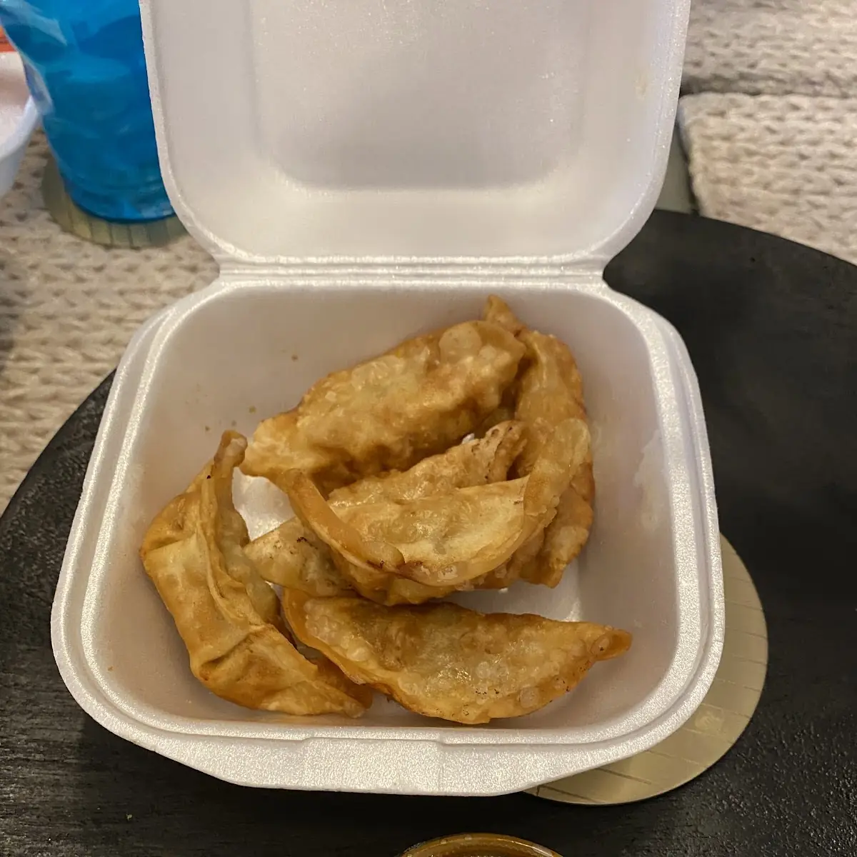 Fried or Steamed Dumplings