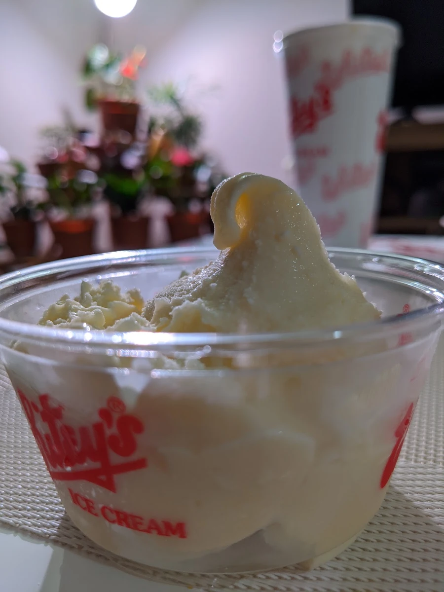 Vanilla Ice Cream