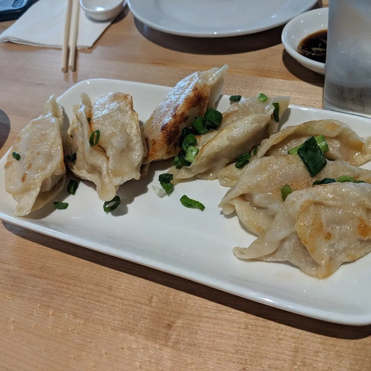 Pan Fried Pork Dumplings