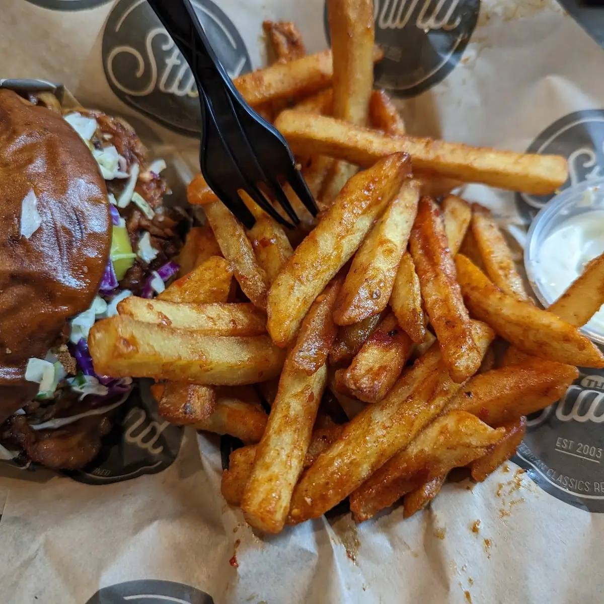 Brisket Sandwich and Fire Fries