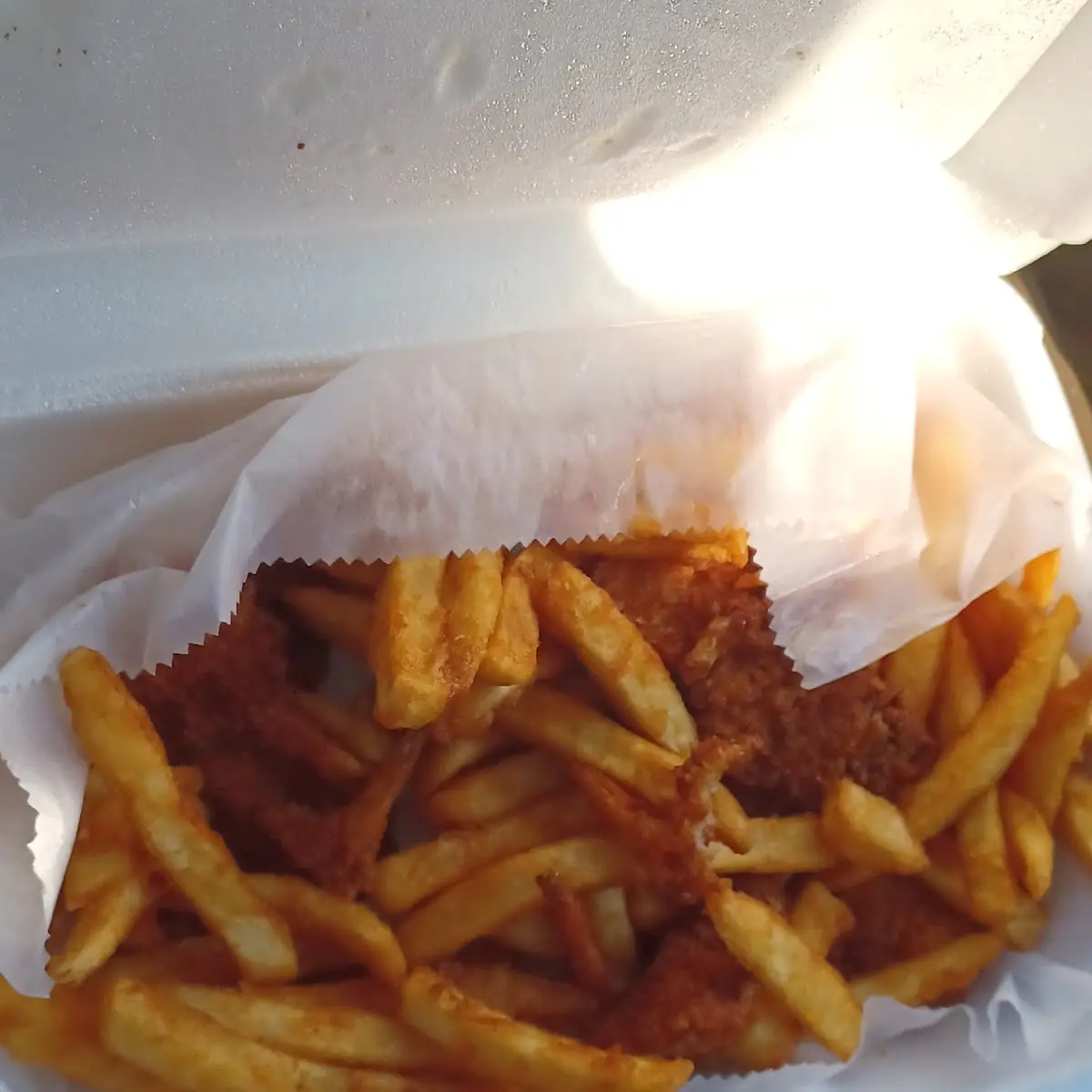 Fried Shrimp and Fries