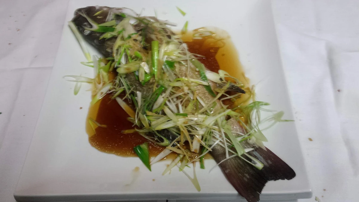 Steam Fish Fillet, Jacky's modern asian