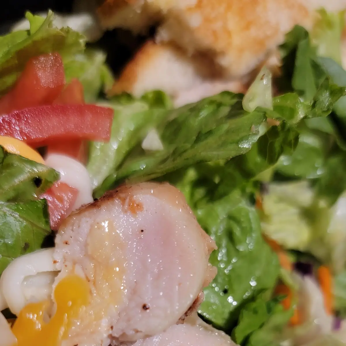 House Salad w Baked Chicken