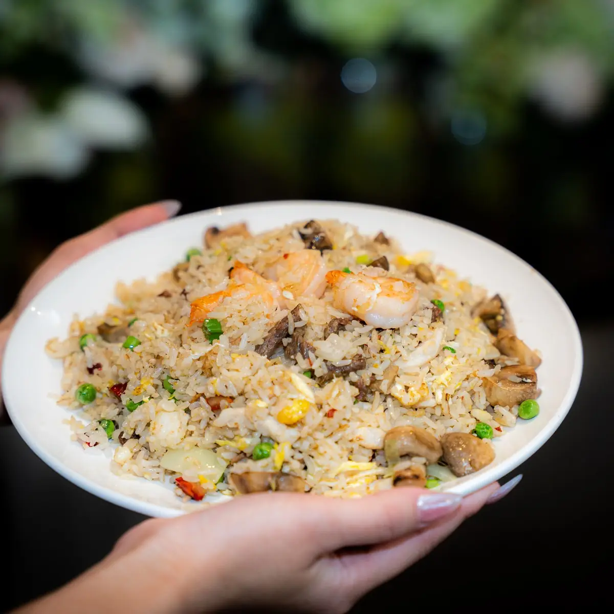 Japanese Fried Rice