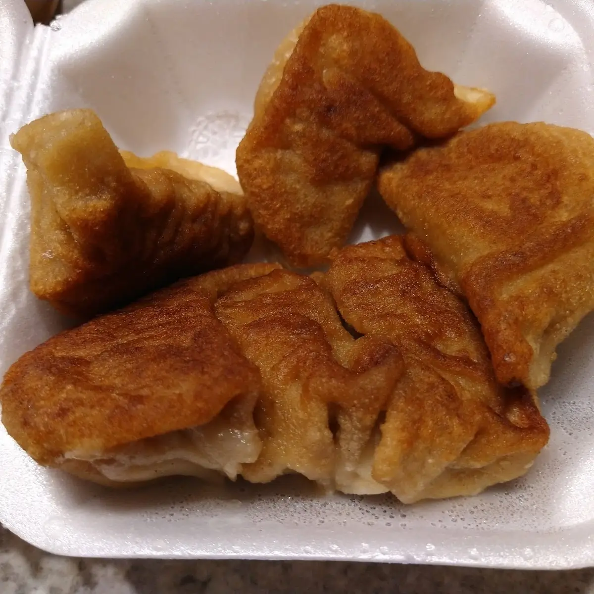 Fried Dumplings