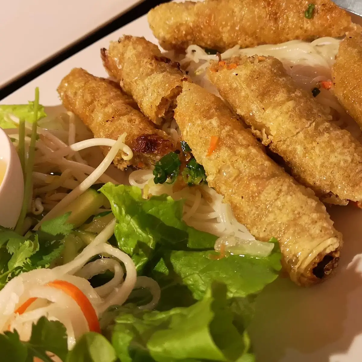 Fried Spring Rolls