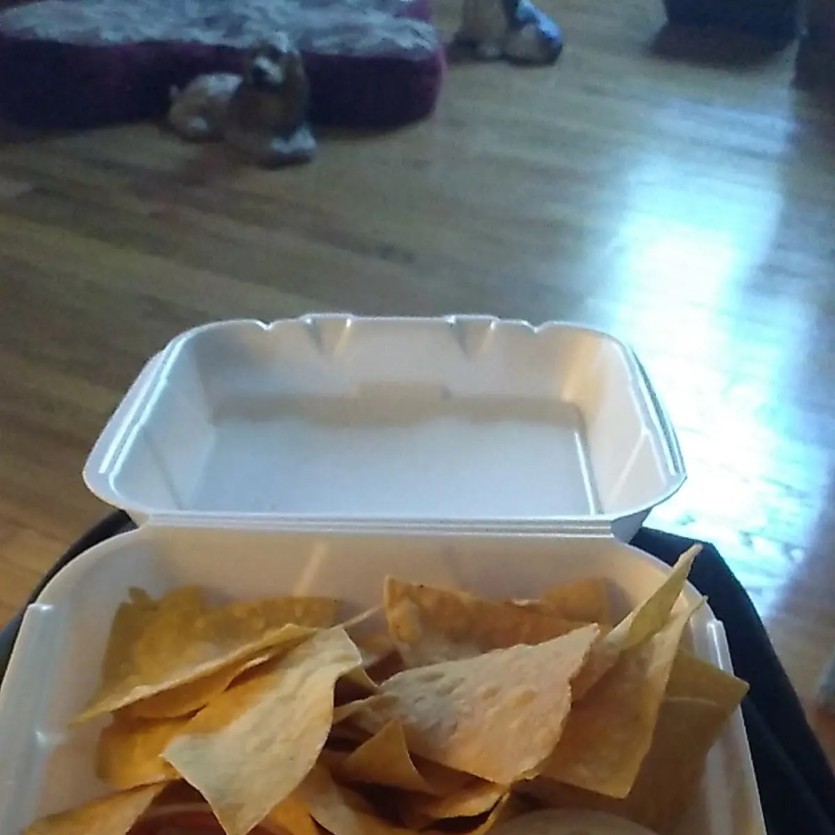 Nachos with Cheese Dip