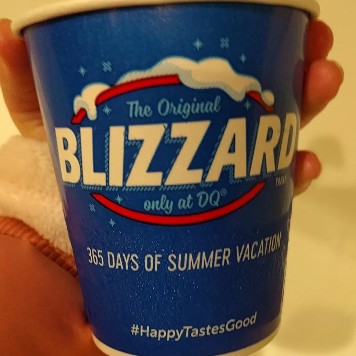 Chocolate Chip Cookie Dough Blizzard Treat