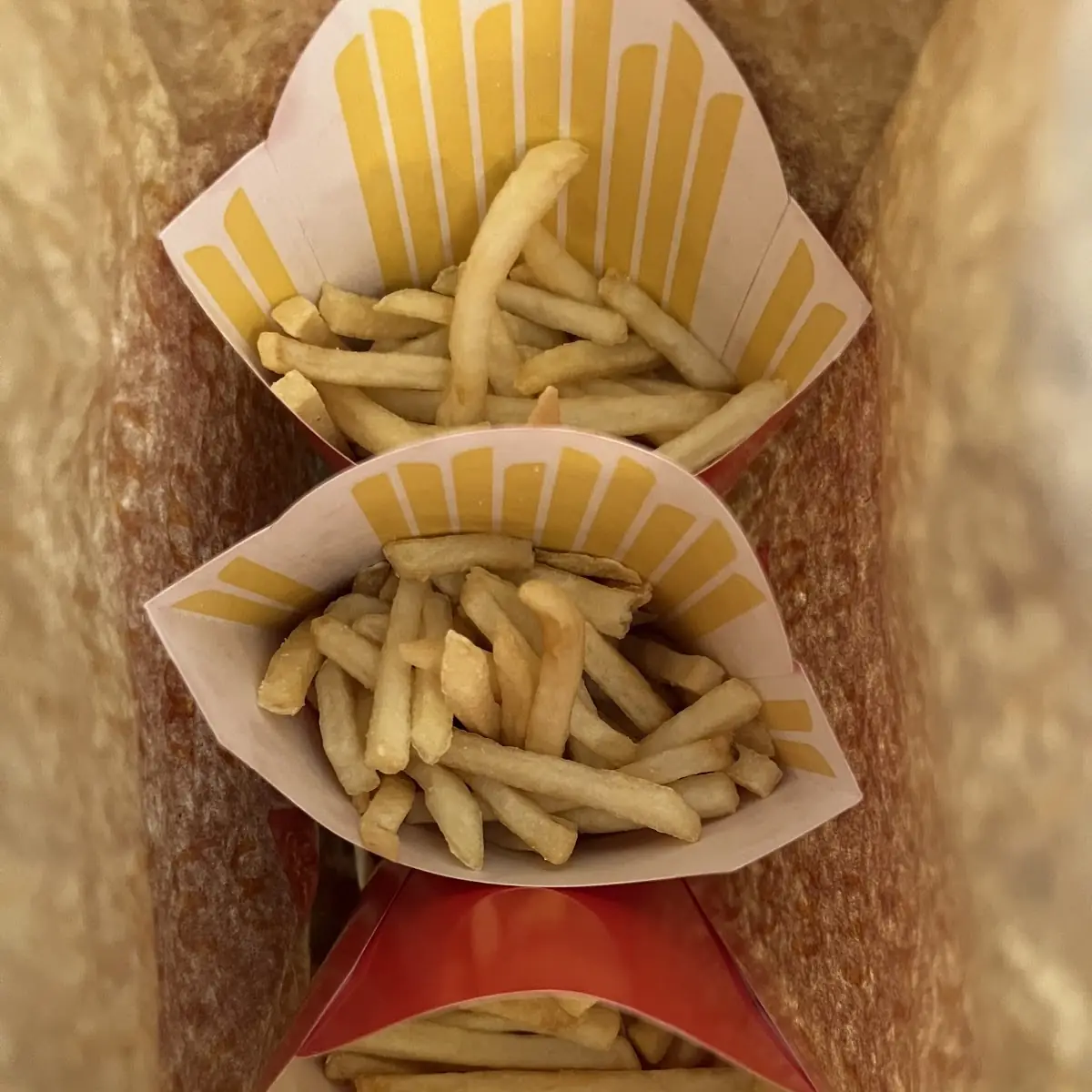 World Famous Fries