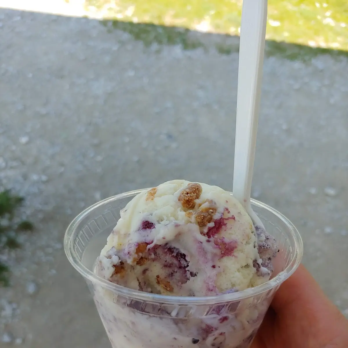 Blueberry Crumb Cake