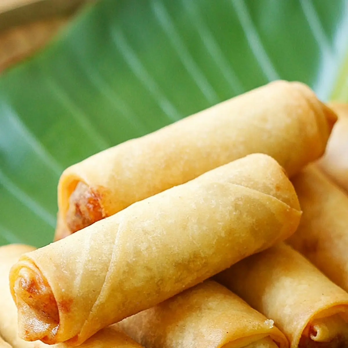 VEGETABLE SPRING ROLL (2PCS)