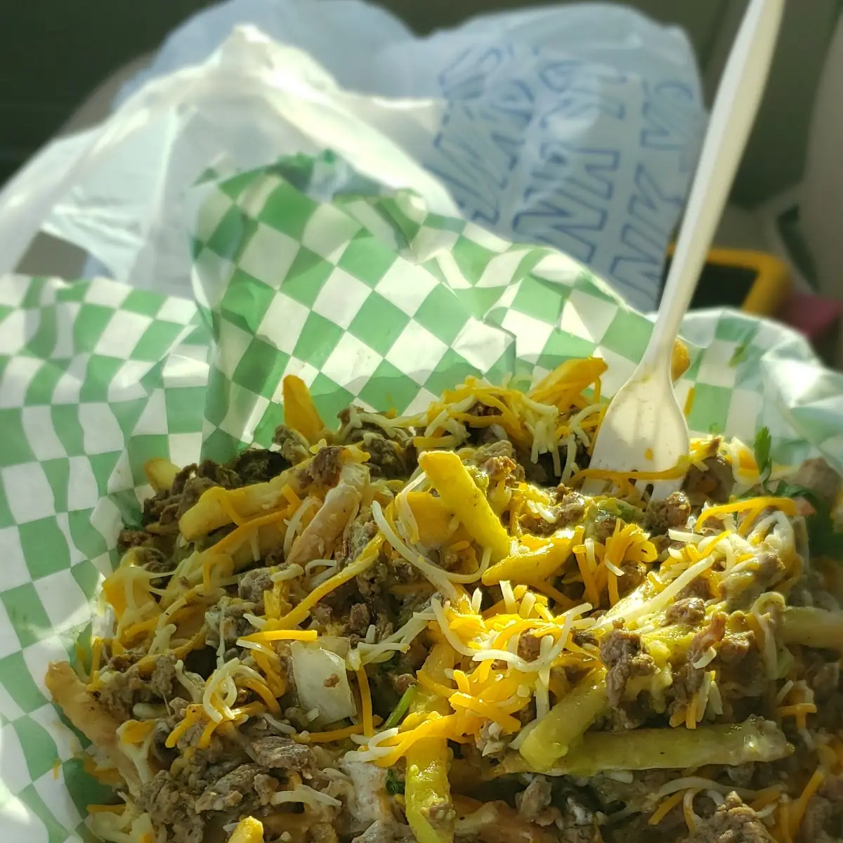 Carne Asada Fries