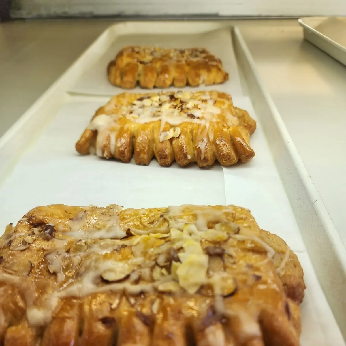 Bear Claw