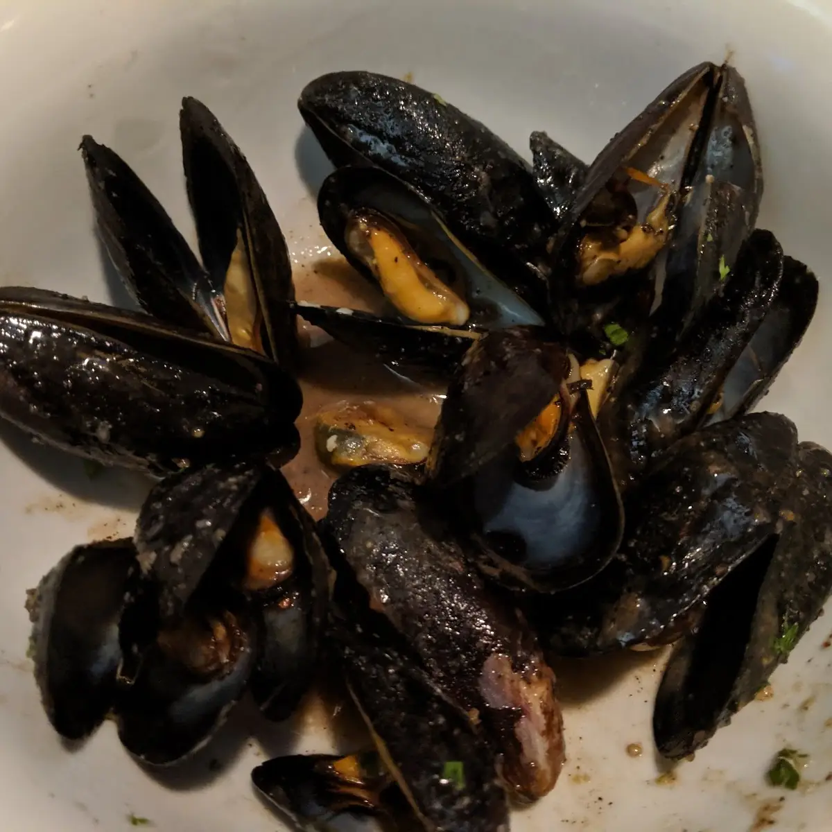 Sautéed Mussels GF Upon Request