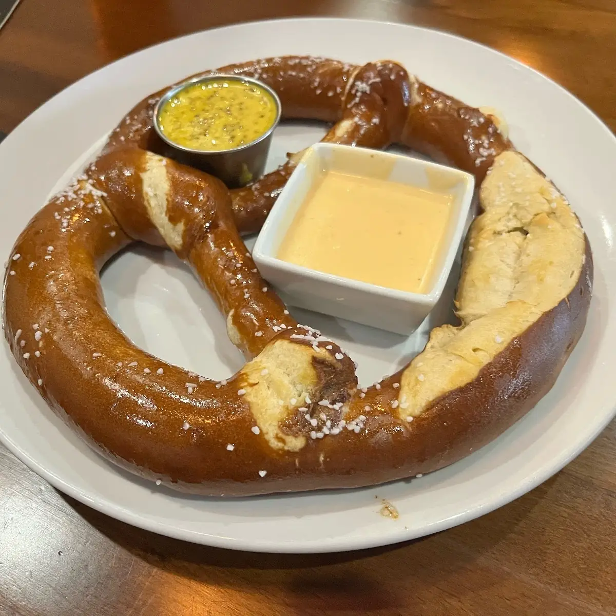 Huge Bavarian Pretzel