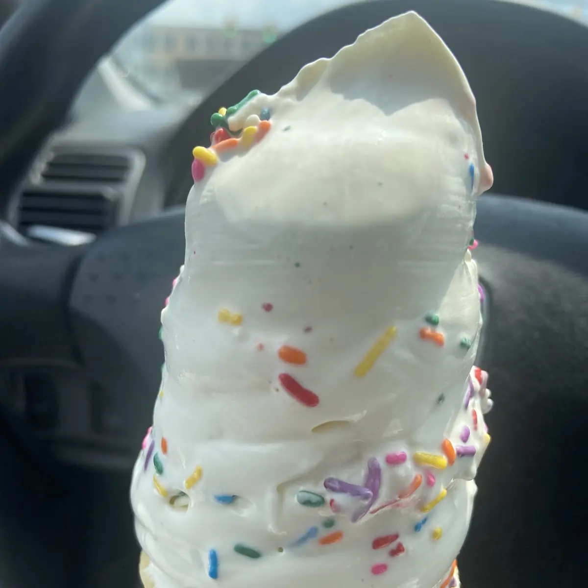 Vanilla Custard with Rainbow Sprinkles