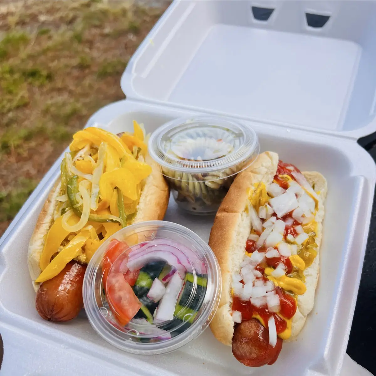 Chicago Dog