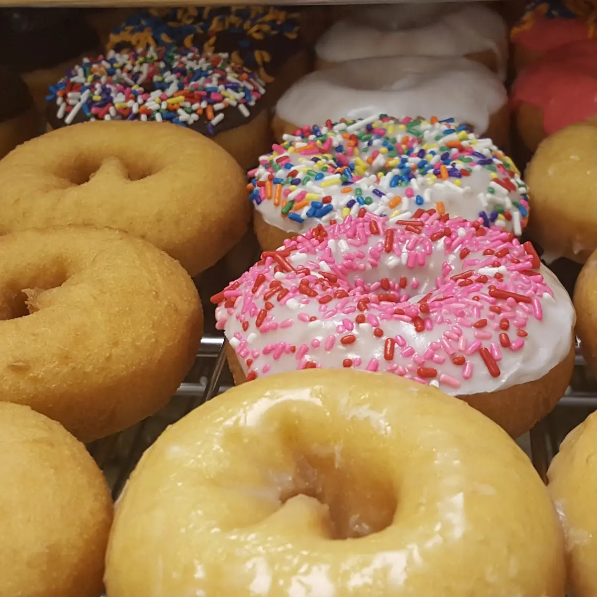 Blueberry Donut