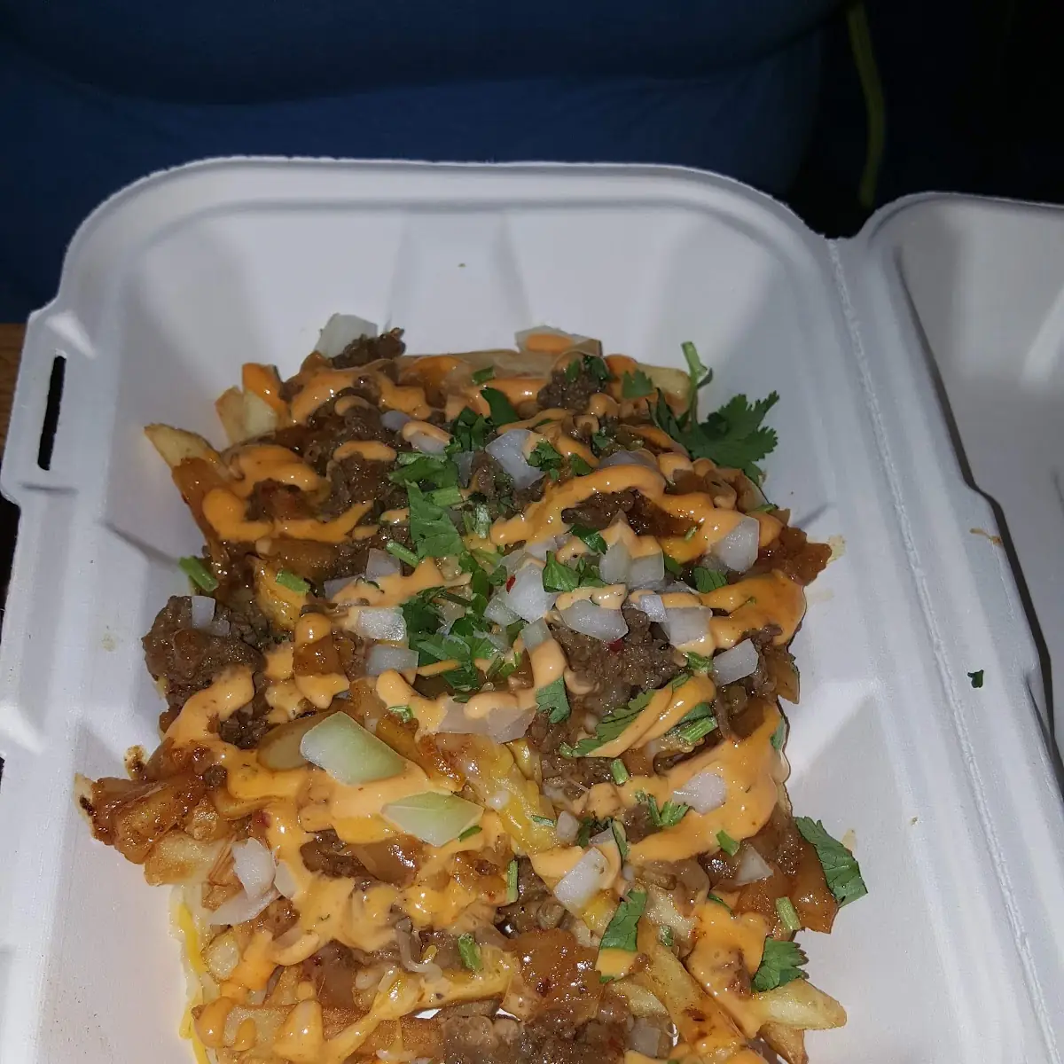 Loaded Fries
