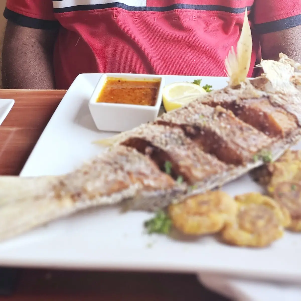 Red Snapper