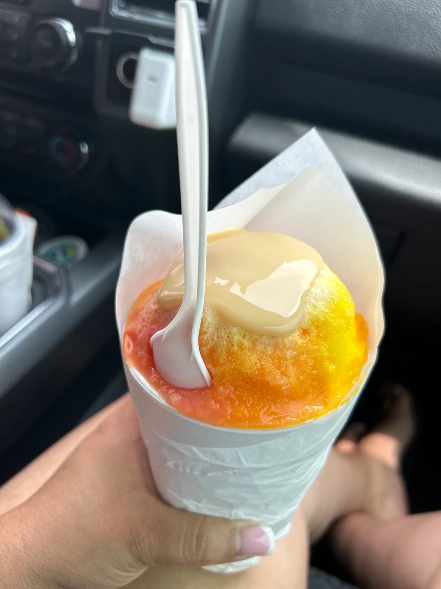 Mango Ice Cream