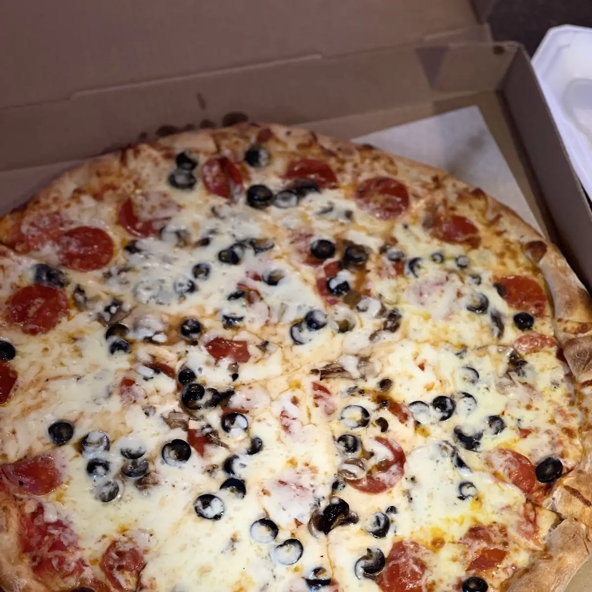 Pizza Extra Cheese Black Olive Mushroom Extra Sauce