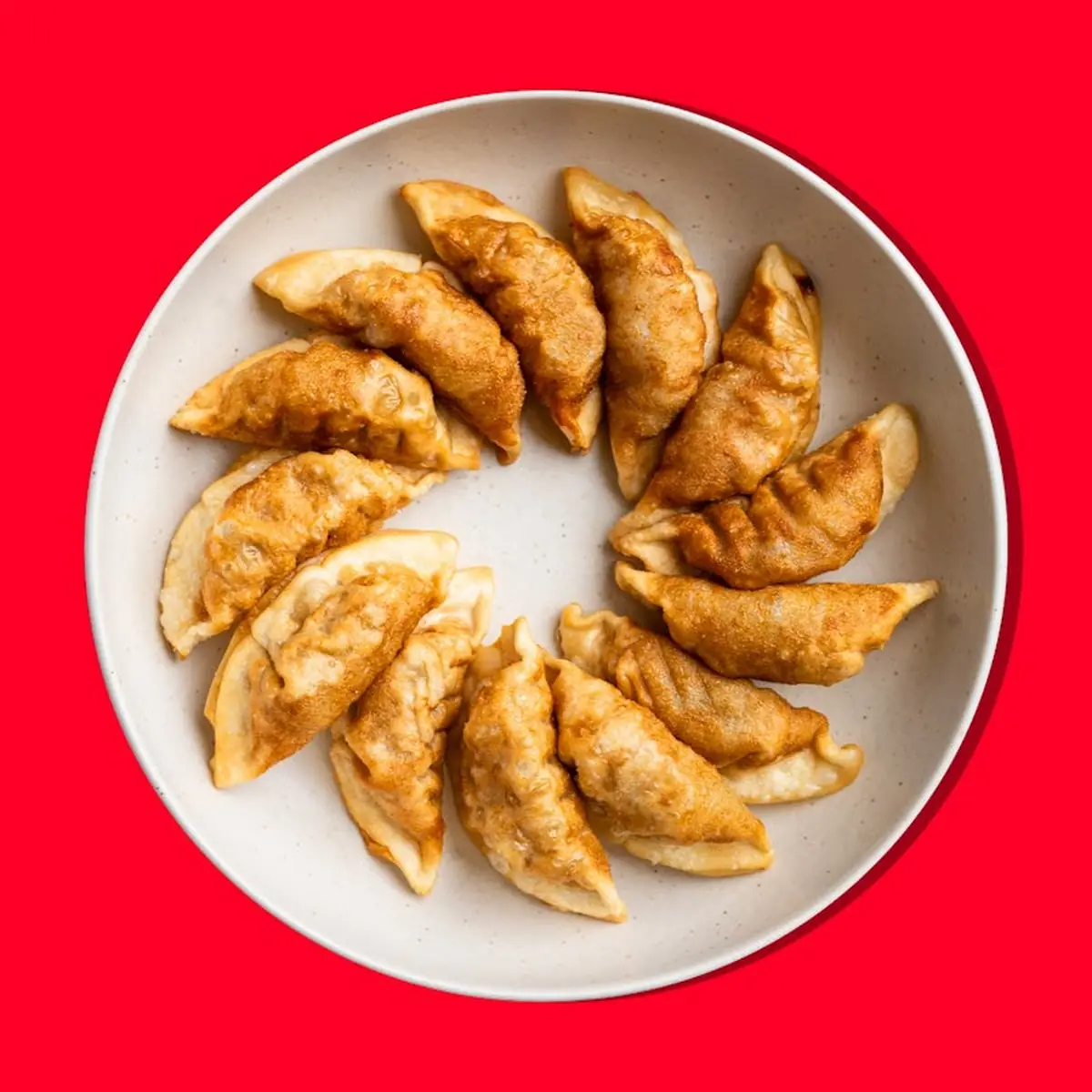 Thai Dumplings 6