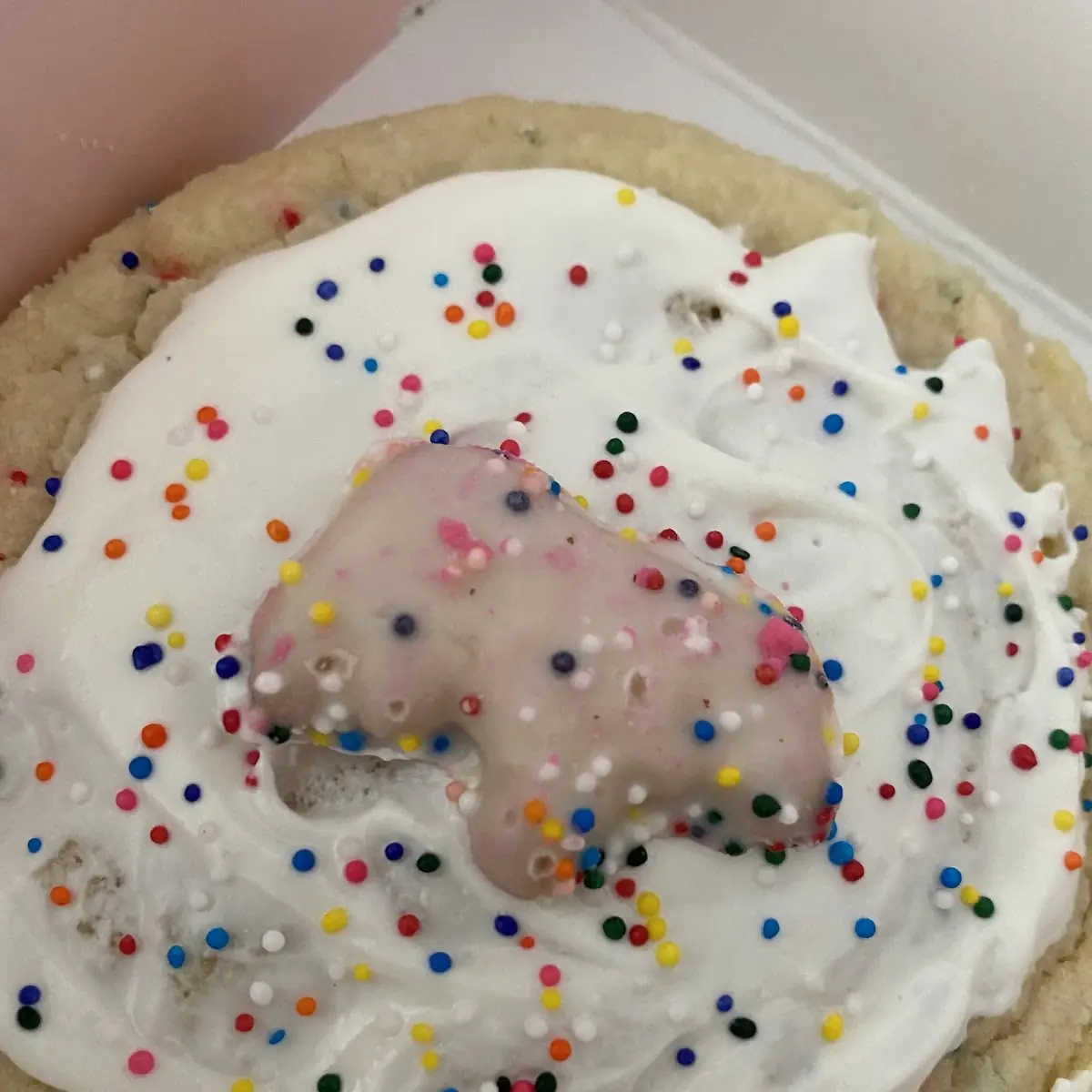 Sugar Cookie