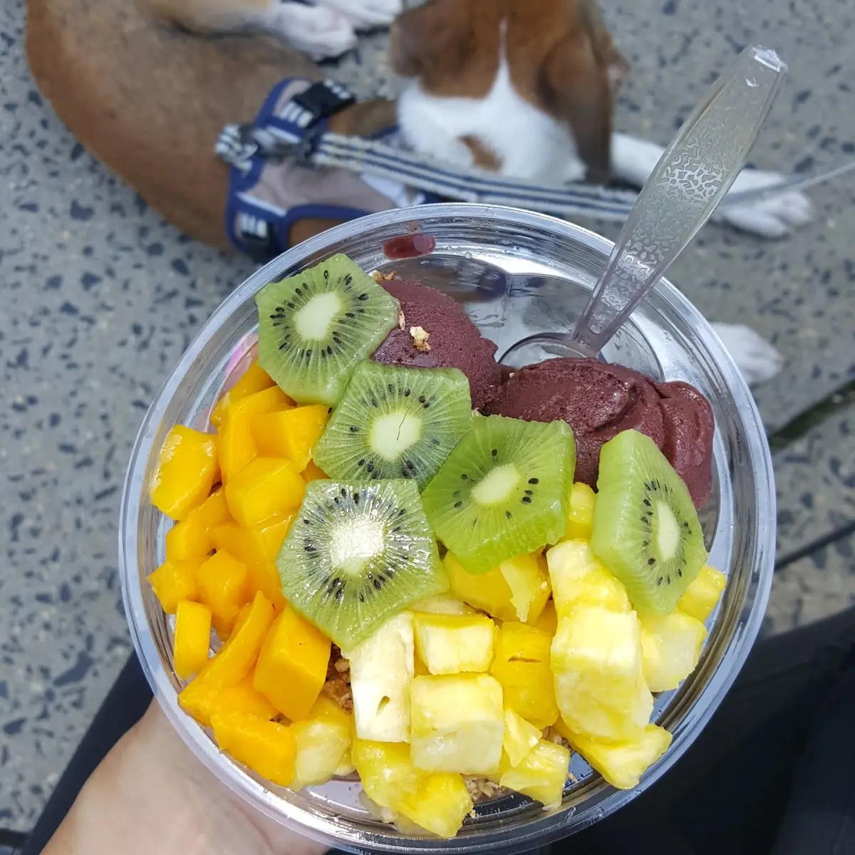 Fruit Salad