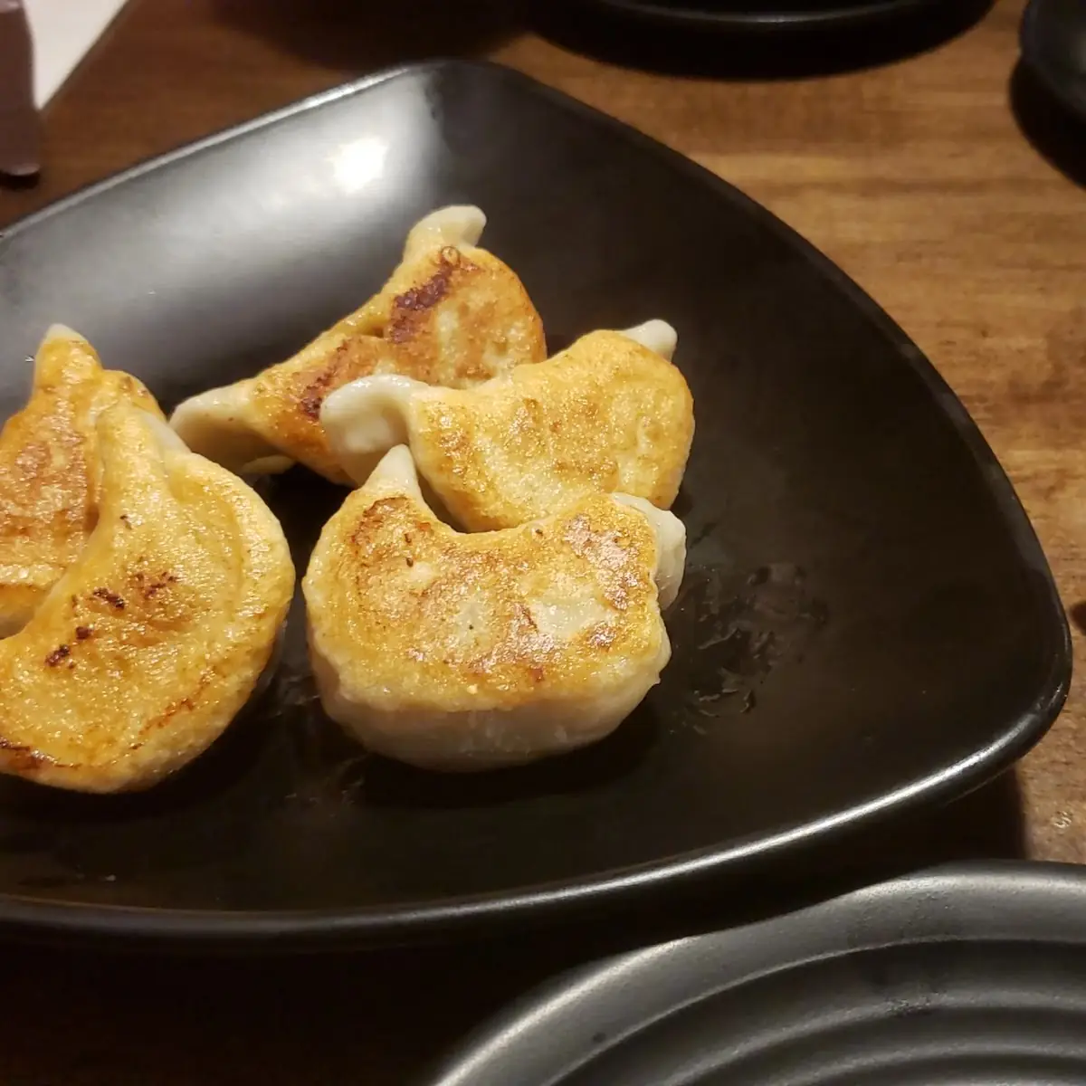 Fried Dumplings