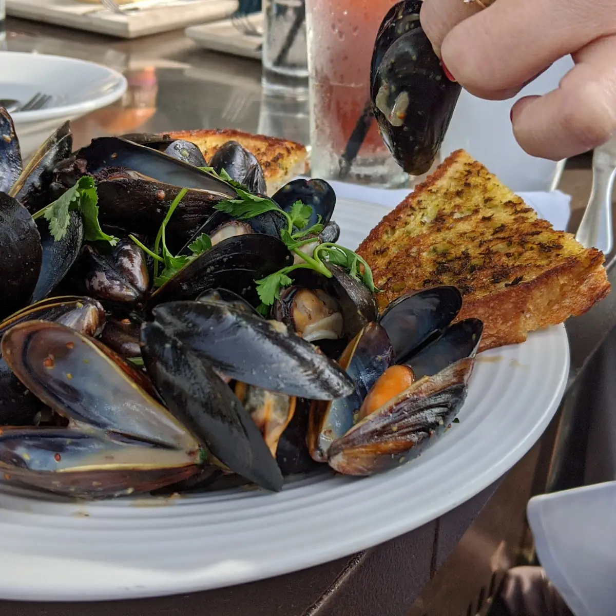 Steamed Mussels