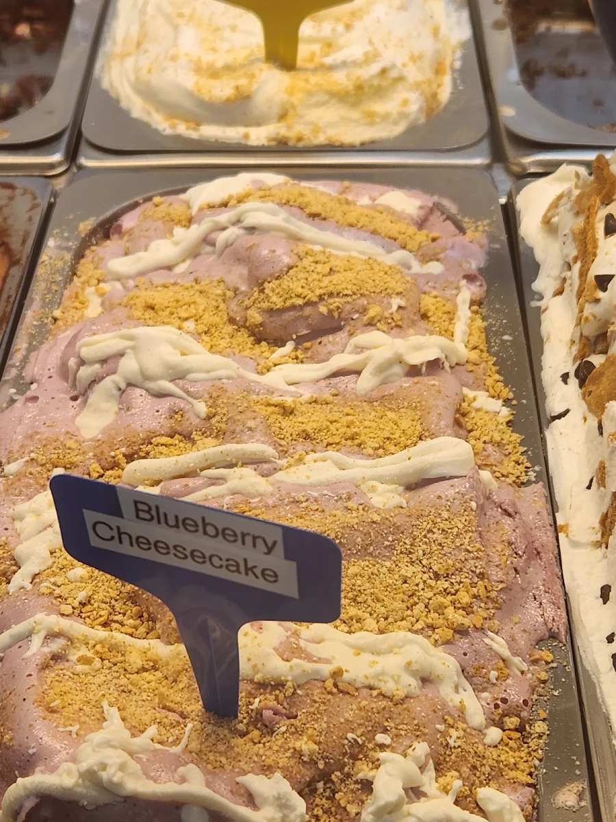 Blueberry Cheesecake Gelato