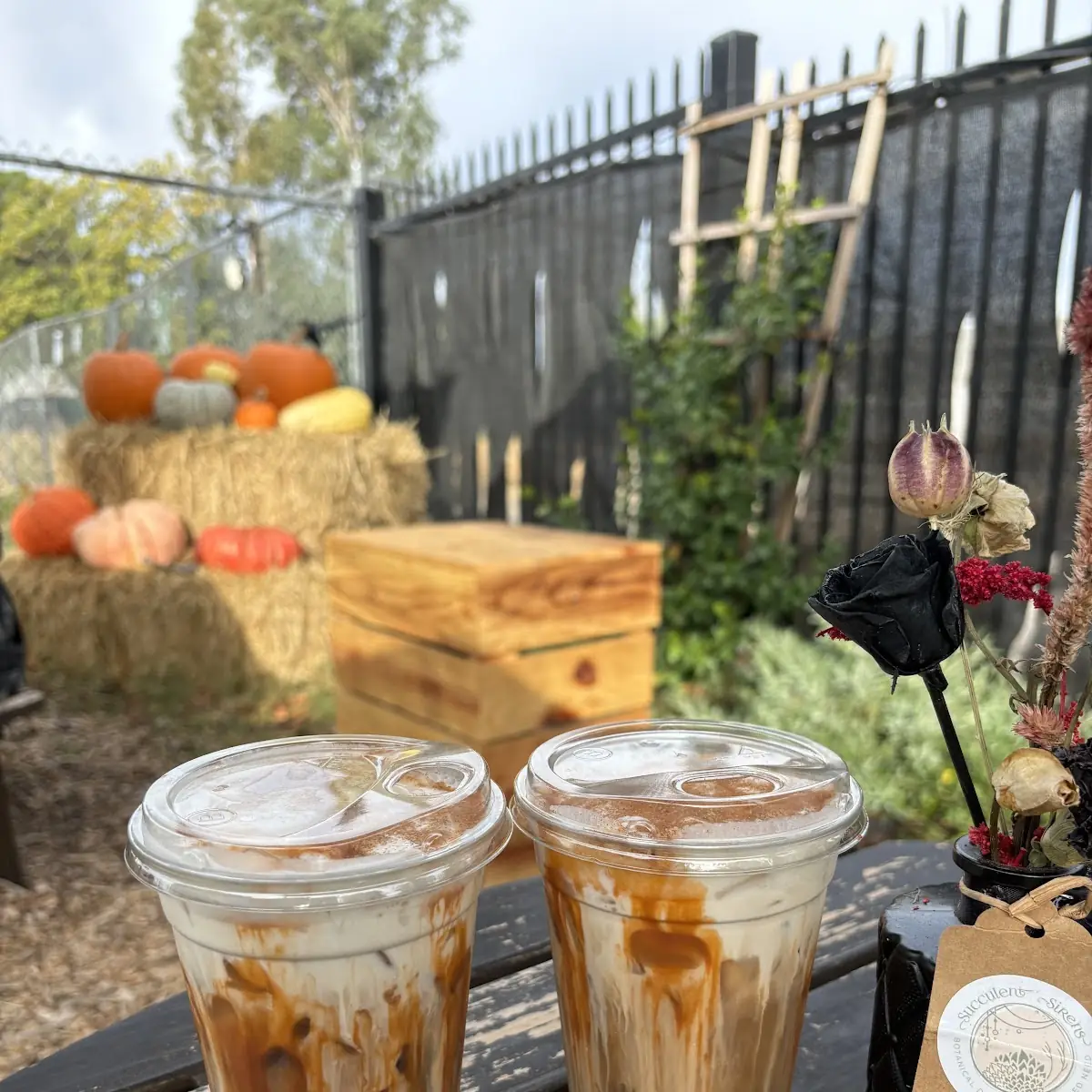 Pumpkin Spice Latte