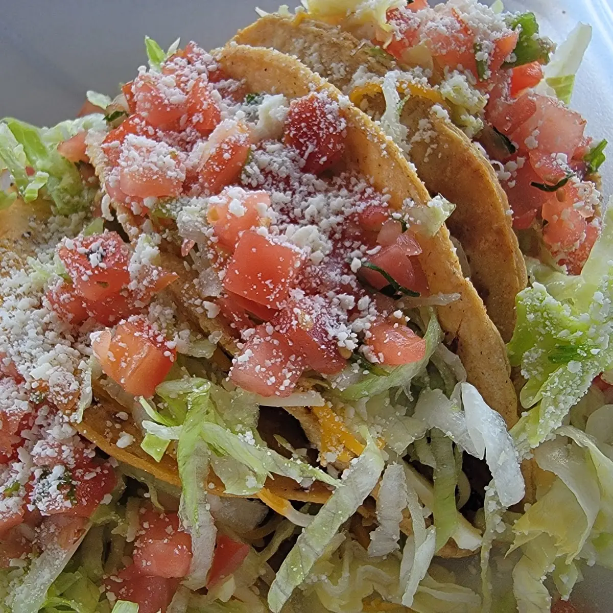 Shredded Beef Hard Taco
