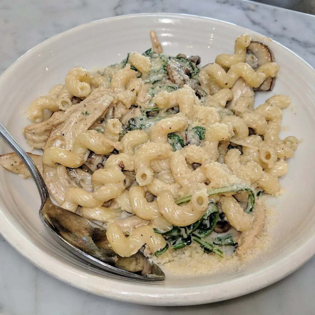 Roasted Chicken & Mushroom Cavatappi