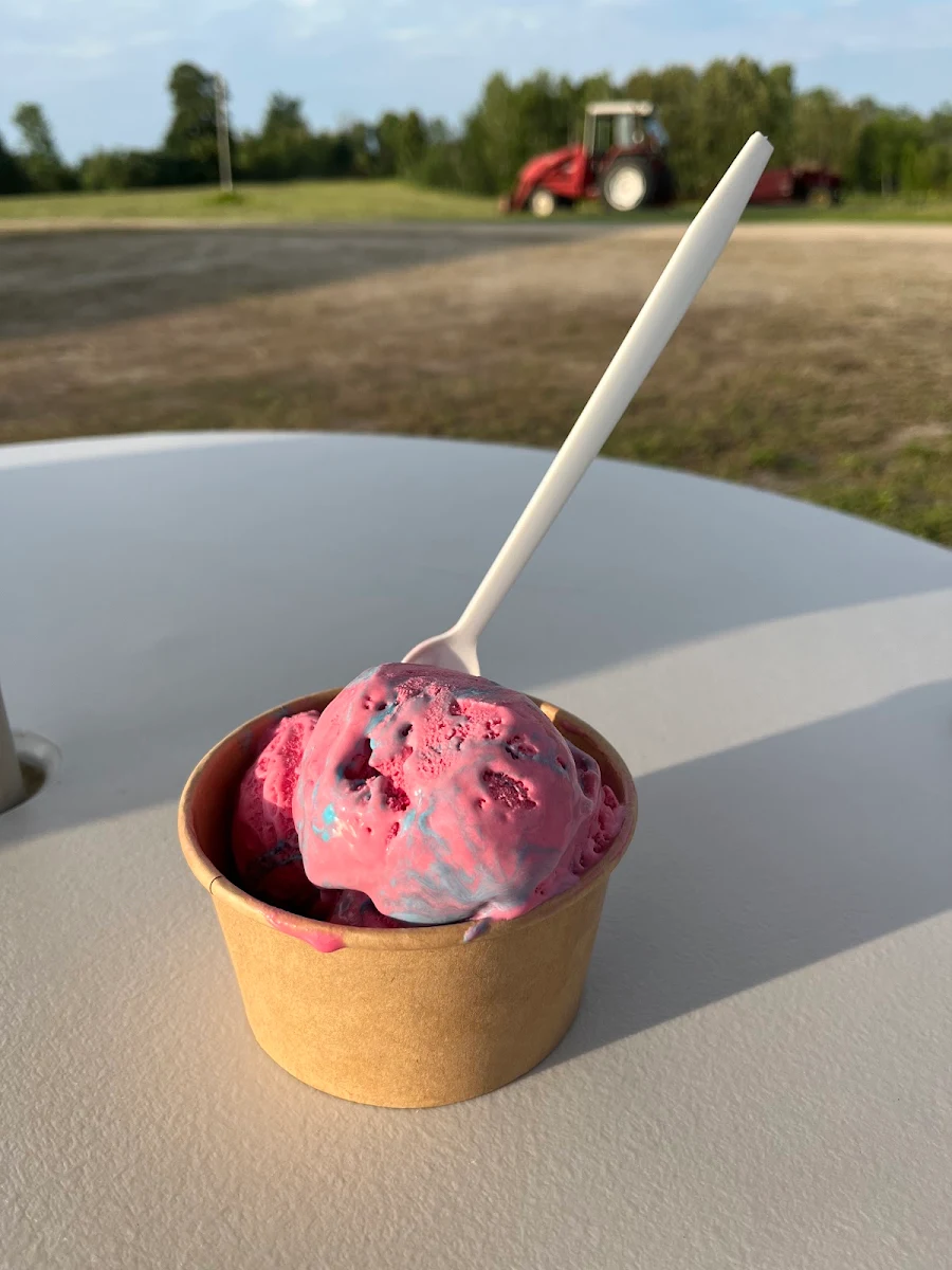 Cotton Candy Ice Cream