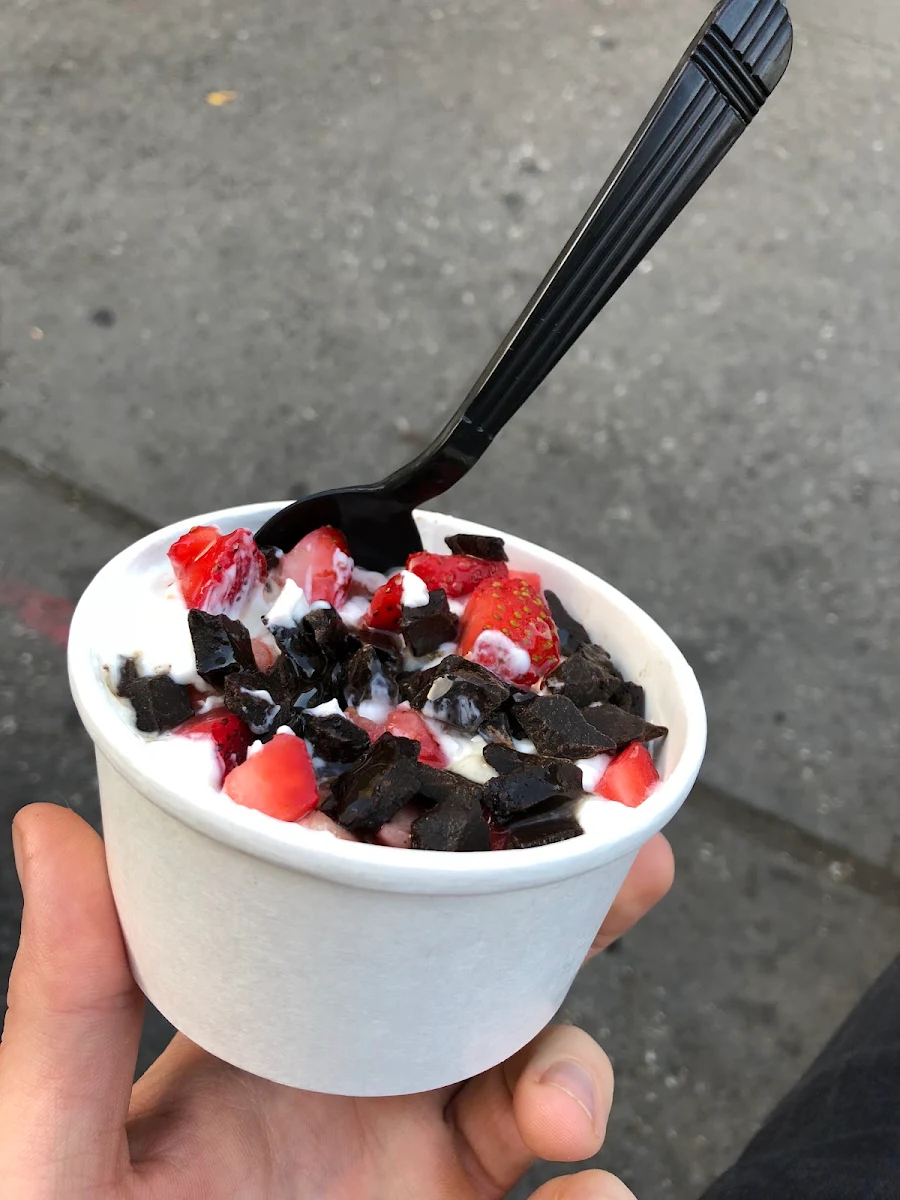 Frozen Yogurt