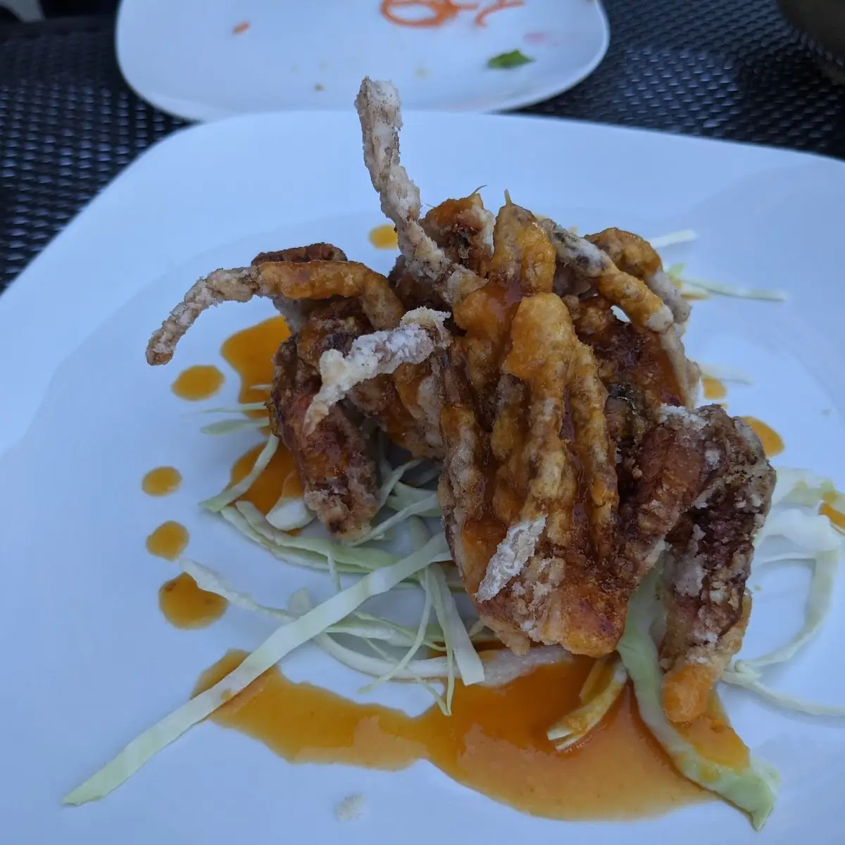 Soft Shell Crab App