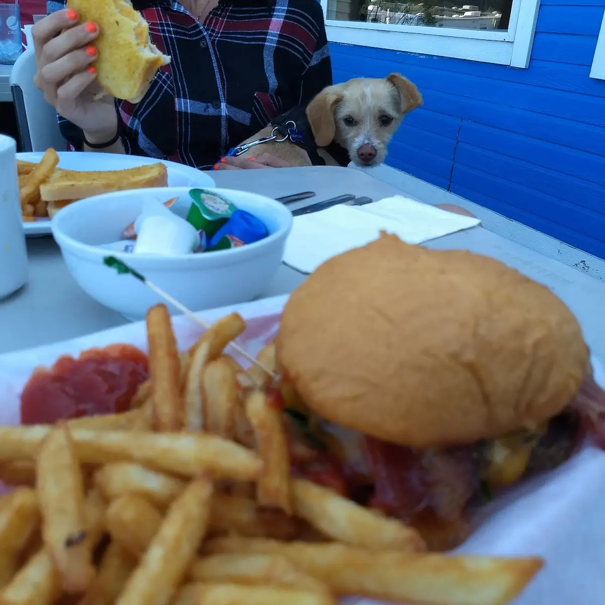Bacon Cheeseburger
