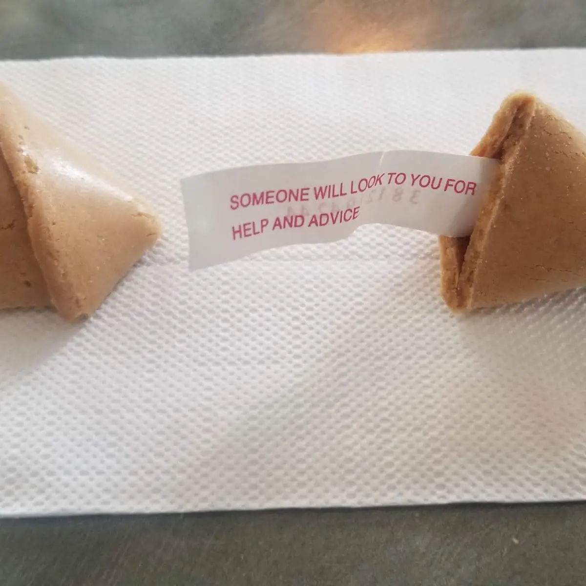 Fortune Cookies