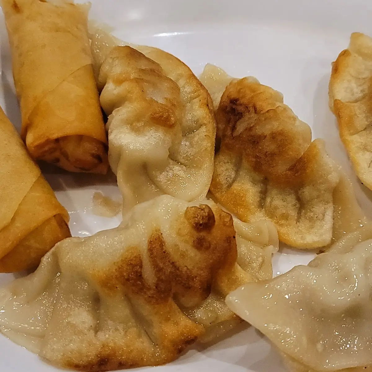 Fried or Steamed Dumplings